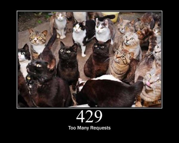 a bunch of cats, too many some may say (I don't). The message below reads "429: Too Many Requests"