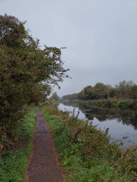 a view of a narrow path alongside a river.